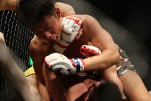 mma-1342659_960_720